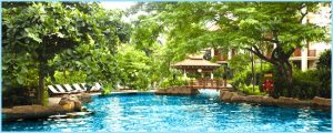 Khu vườn nhiệt đới bao quanh hồ bơi nổi bật của Furama Đà Nẵng